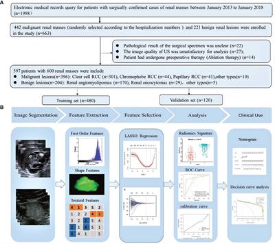 An Ultrasonic-Based Radiomics Nomogram for Distinguishing Between Benign and Malignant Solid Renal Masses